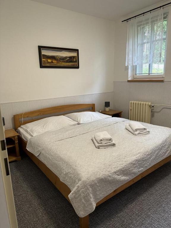 penzion Vysoká Stráž - 1