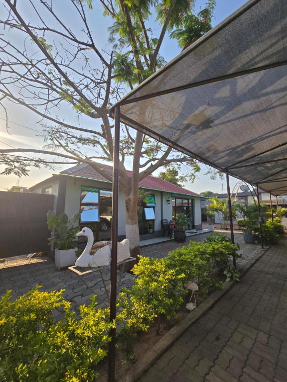 Taman di luar Bianca's