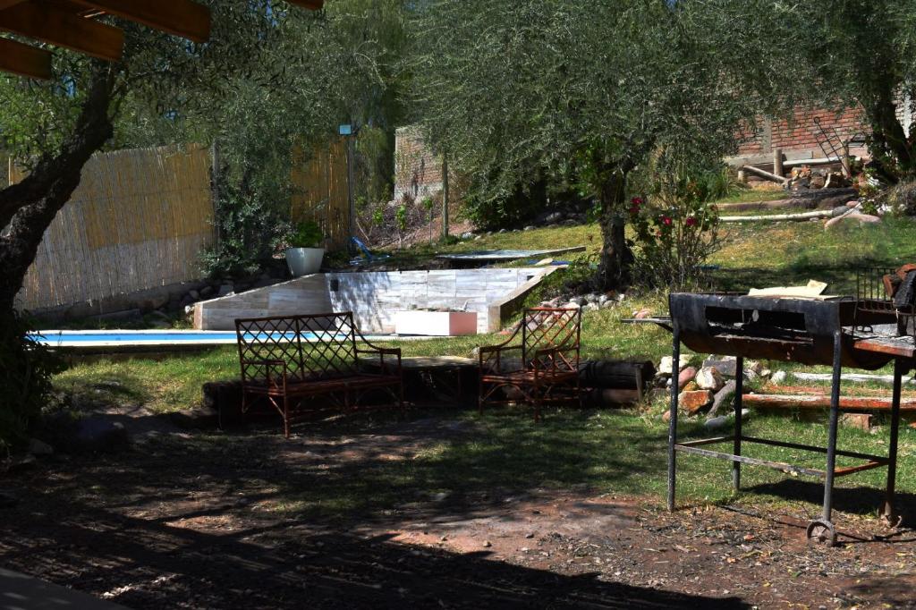 a backyard with a swimming pool and a tree at Casa Caminos del vino in Mendoza