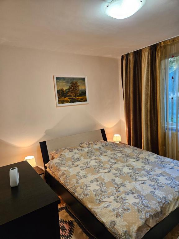Sol apartaments 3 camere - Two-Bedroom Apartment
