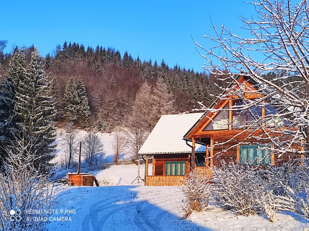 Căsuța de la munte v zimě