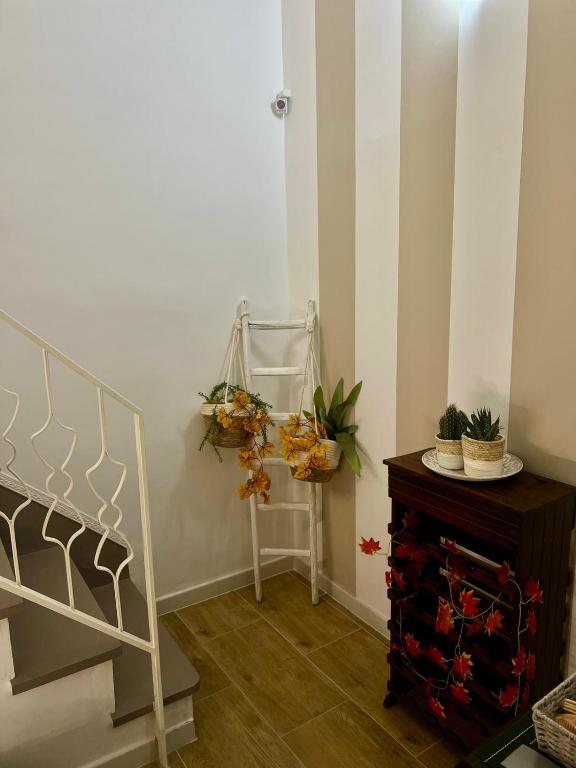 Fotografie z fotogalerie ubytování casa turistica l'etoile v destinaci Conversano