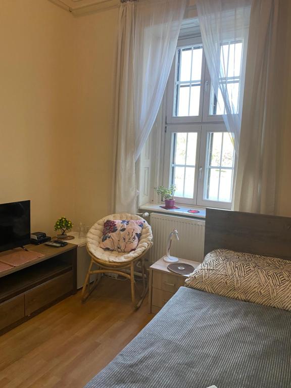 Televízia a/alebo spoločenská miestnosť v ubytovaní Palóc Panzió