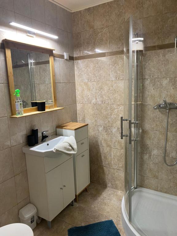 Kúpeľňa v ubytovaní Palóc Panzió