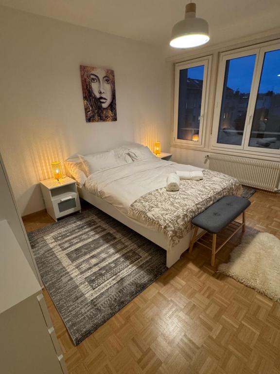 Amazing location Geneva , Eauv-Vives - Resim 6