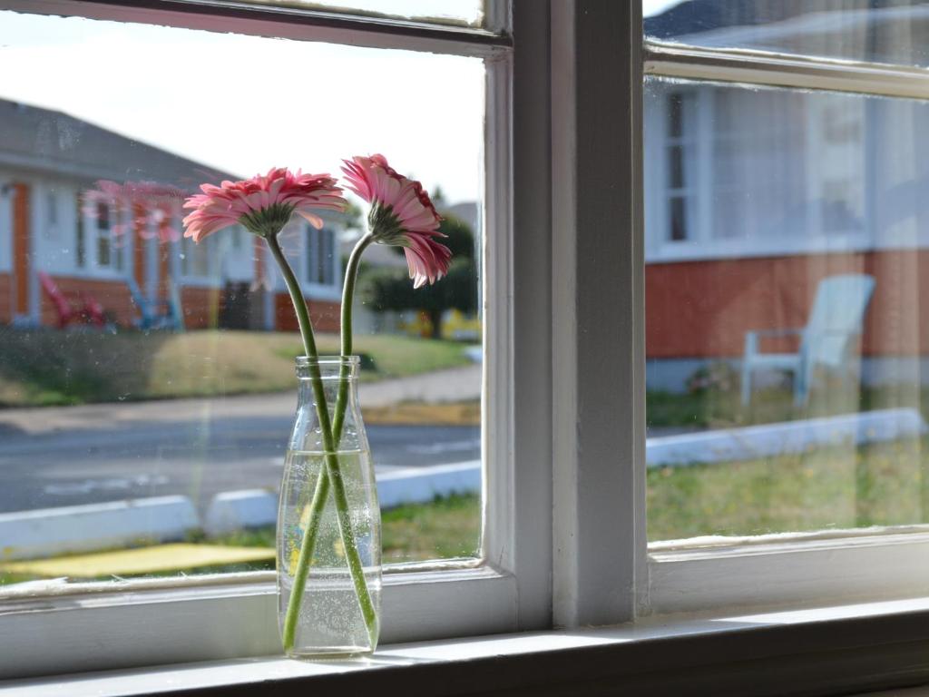 Zahrada ubytování 2400 Motel