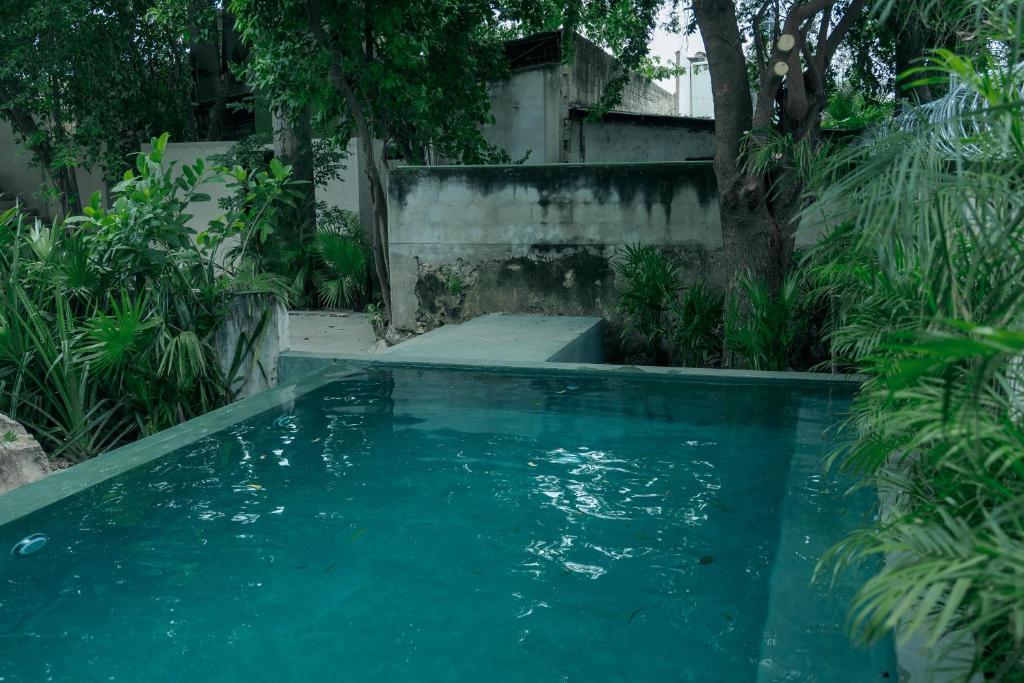 Kolam renang di atau di dekat Escentrike Hostal