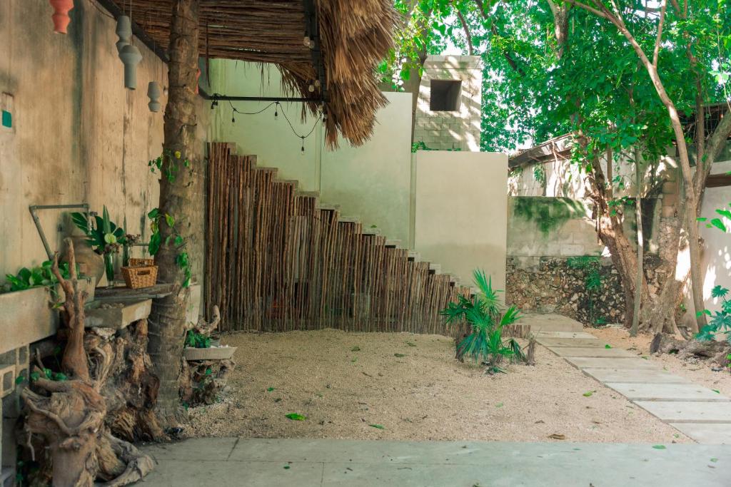 Kebun di luar Escentrike Hostal