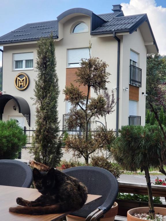 a cat laying on a table in front of a building at Montain House Rakocevic in Kolašin