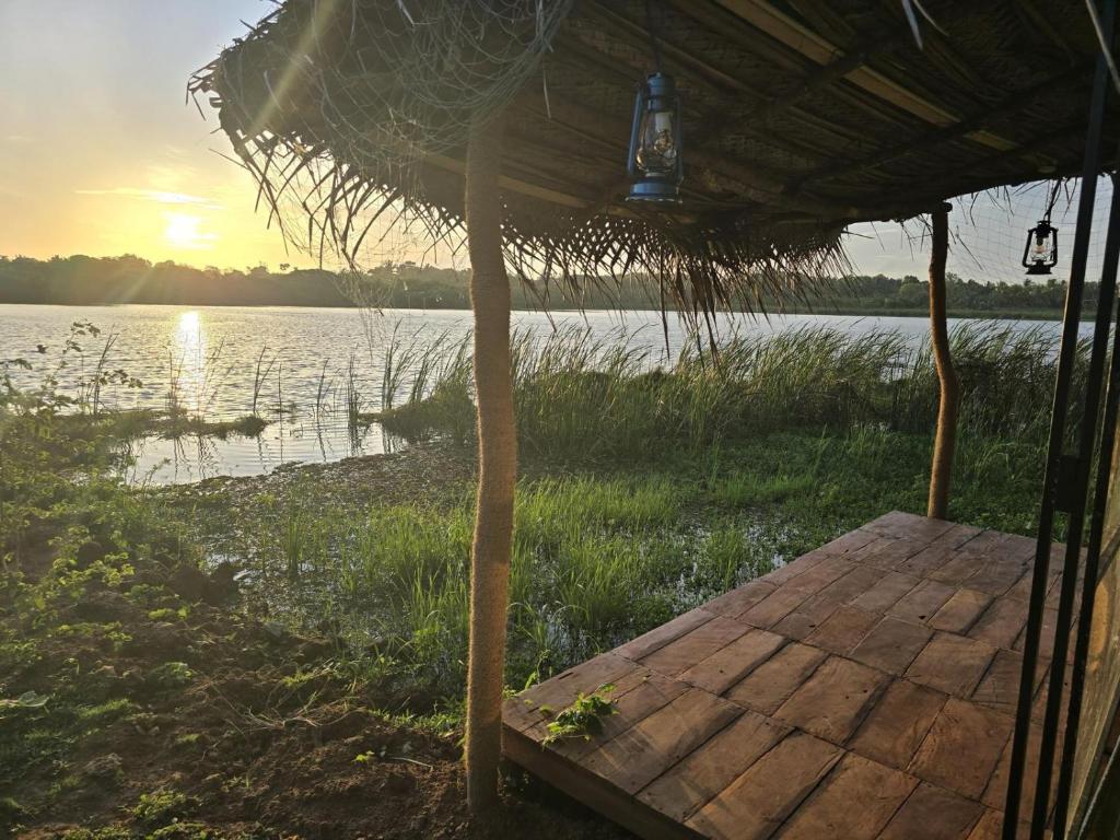 Příroda nedaleko luxury tent