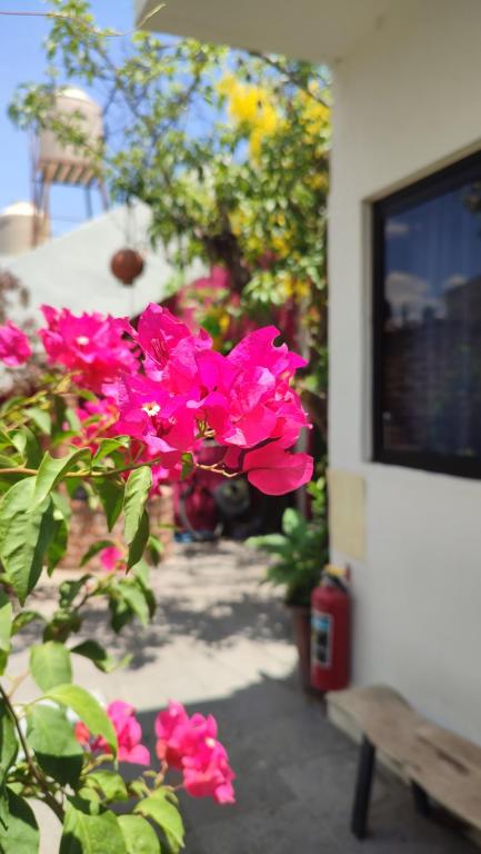 Zahrada ubytování Hostal Casa Morada
