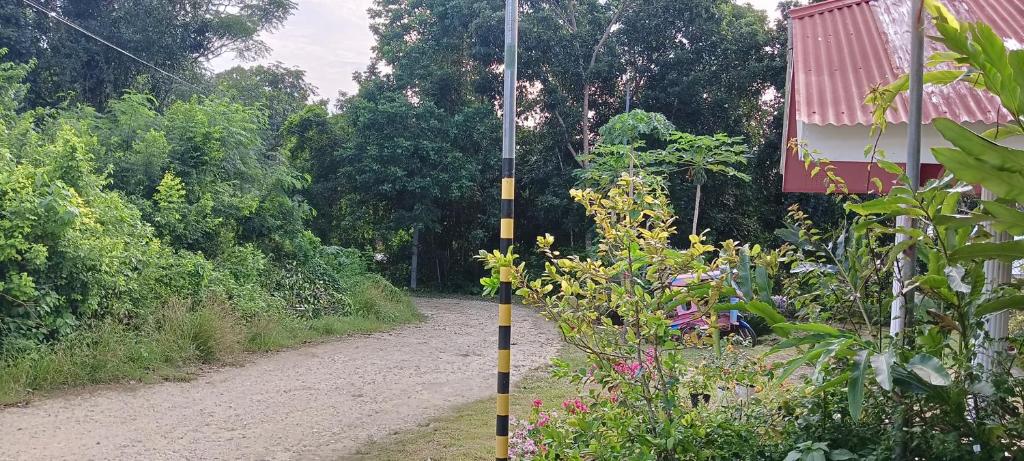Zahrada ubytování RM Homestay