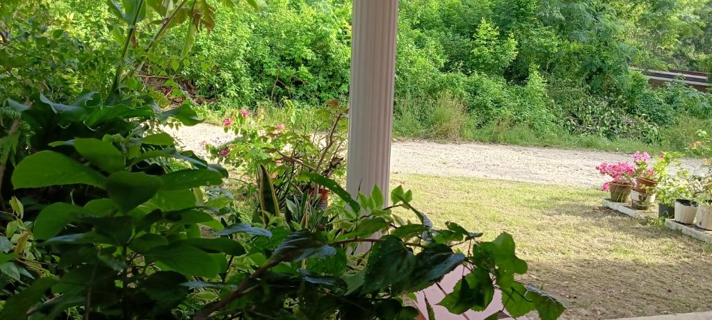Zahrada ubytování RM Homestay