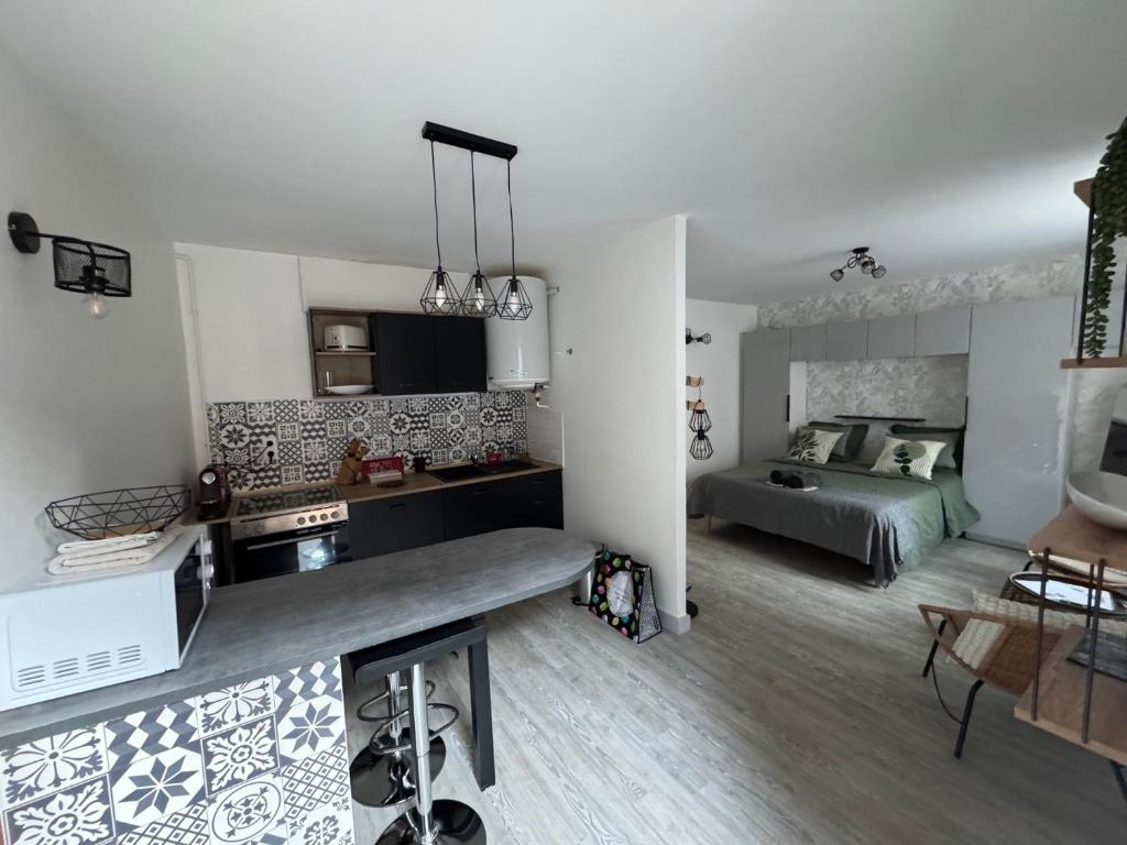 une pièce avec une cuisine et un salon dans l'établissement Magnifique studio en RDC au cœur de la boucle, à Besançon