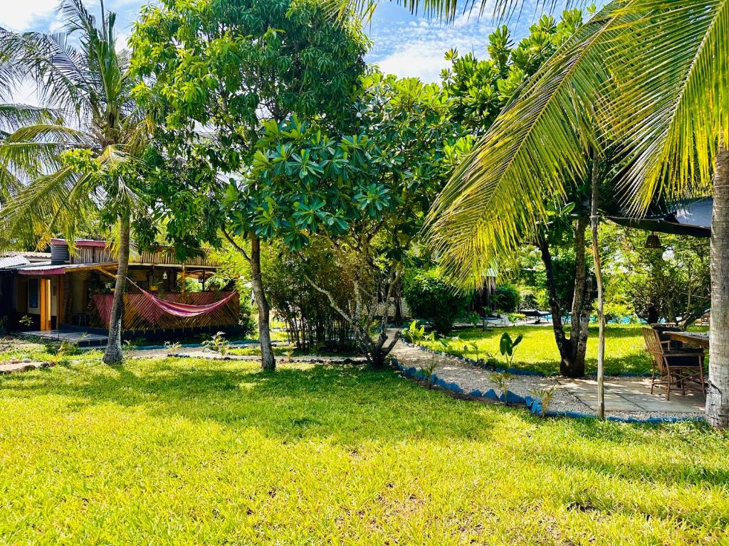 Zahrada ubytování Hera Hostel Diani