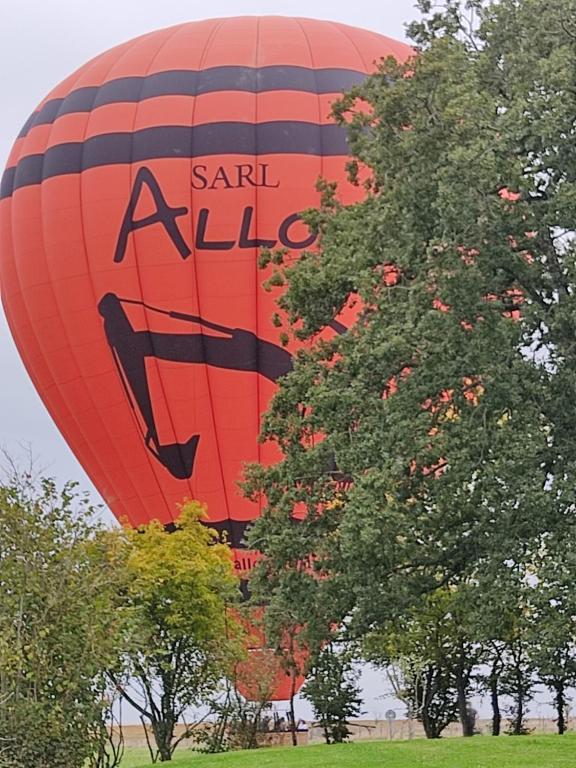 Chambre d'hôtes proche Chenonceau - 19