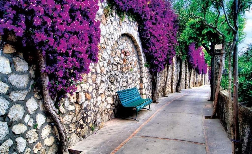 Zahrada ubytování Nafpaktos studio in port ΙΙ