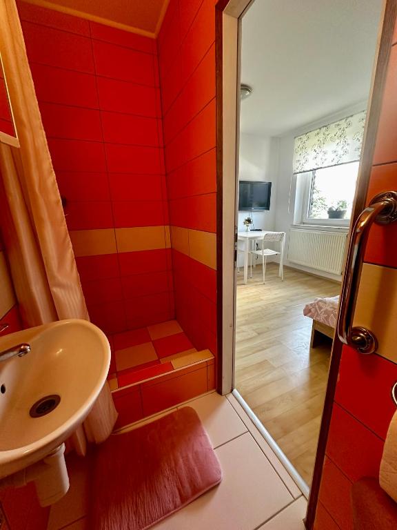 TV a/nebo společenská místnost v ubytování Apartment and rooms Špes