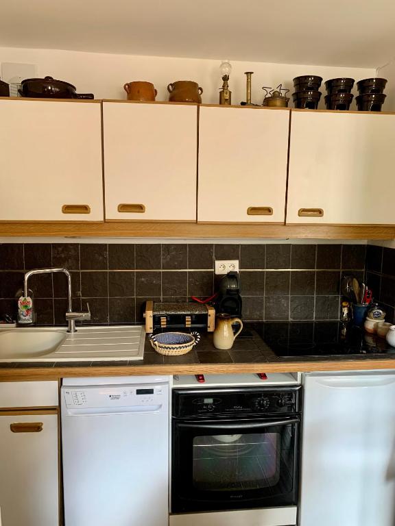 Il comprend une cuisine équipée d'une cuisinière et d'un lave-vaisselle. dans l'établissement Studio proche des pistes, à Isola