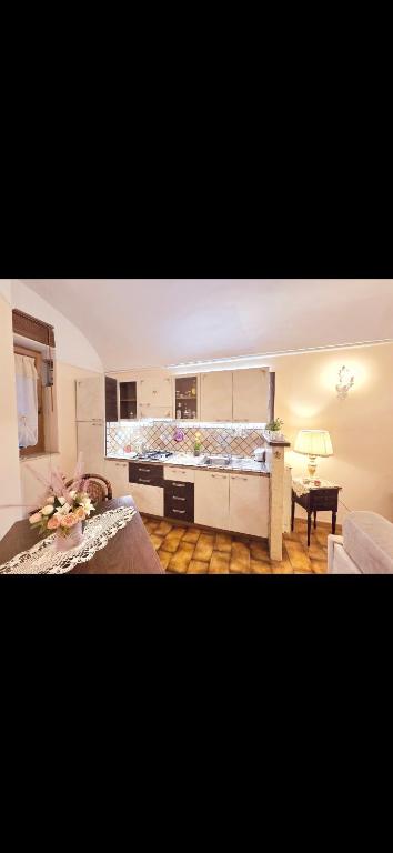 Kuchyň nebo kuchyňský kout v ubytování House Piccola Tivoli