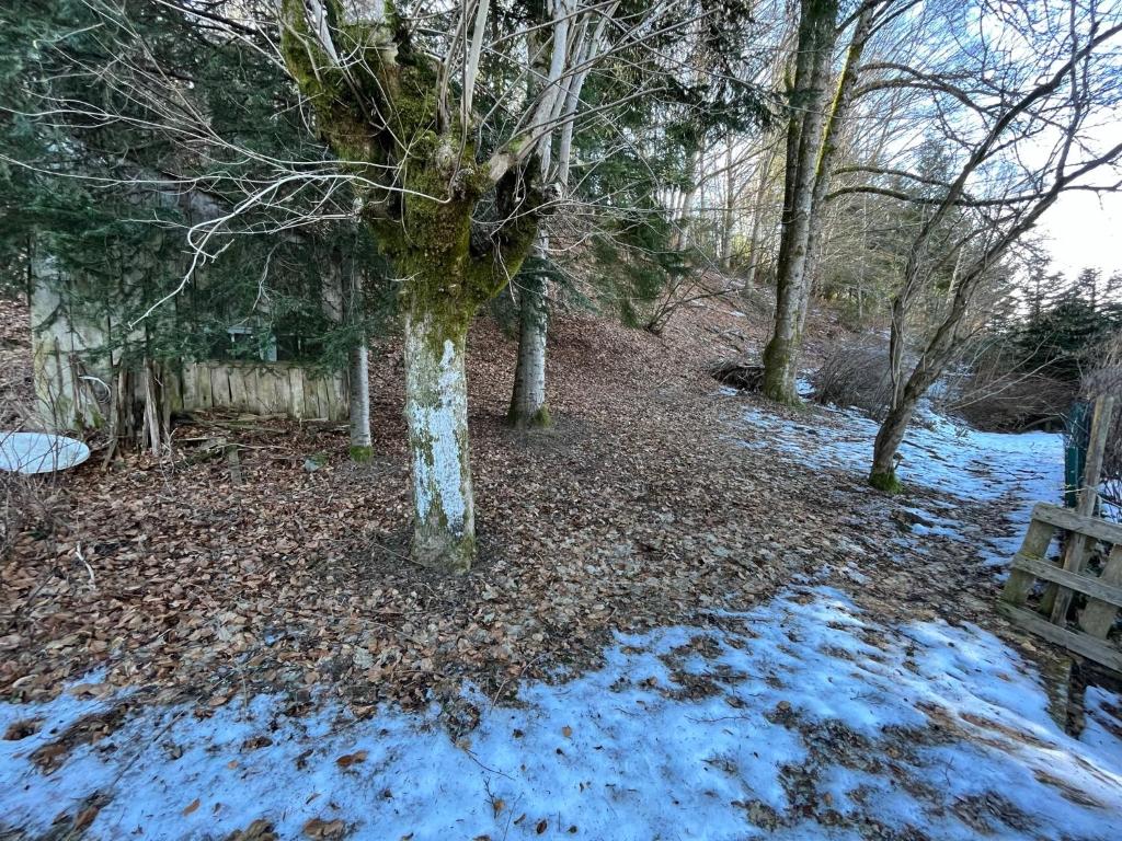 Príroda v okolí apartmánu