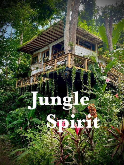 Fotografie z fotogalerie ubytování Jungle Spirit Treehouse v destinaci Cahuita