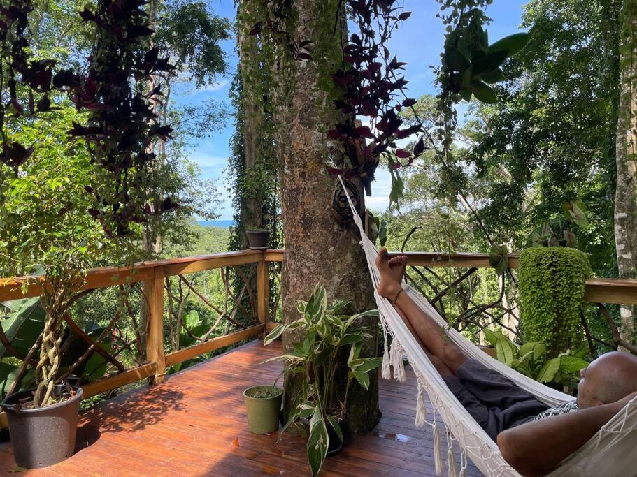 Zahrada ubytování Jungle Spirit Treehouse