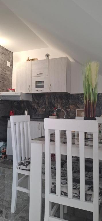 Kuchyň nebo kuchyňský kout v ubytování APARTMENTS IVANOViC CENTER CITY