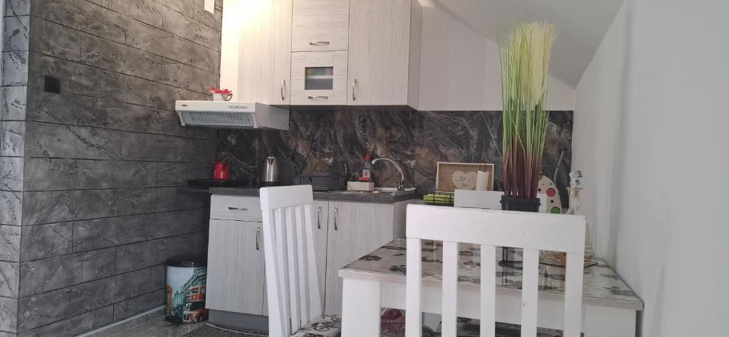 Kuchyň nebo kuchyňský kout v ubytování APARTMENTS IVANOViC CENTER CITY