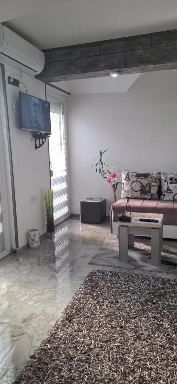 TV a/nebo společenská místnost v ubytování APARTMENTS IVANOViC CENTER CITY