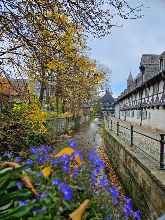 a river with blue flowers next to a fence at Ferienwohnung Dehn in Goslars Altstadt I Stylistisch mit Parkmöglichkeiten in Goslar
