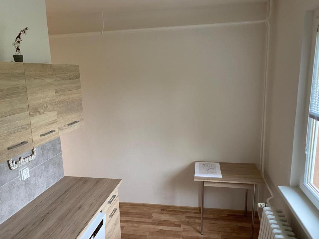 Kuchyň nebo kuchyňský kout v ubytování Apartmán ve městě Ostrov pro 3 osoby