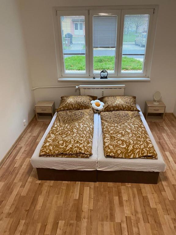 Postel nebo postele na pokoji v ubytování Apartmán ve městě Ostrov pro 3 osoby