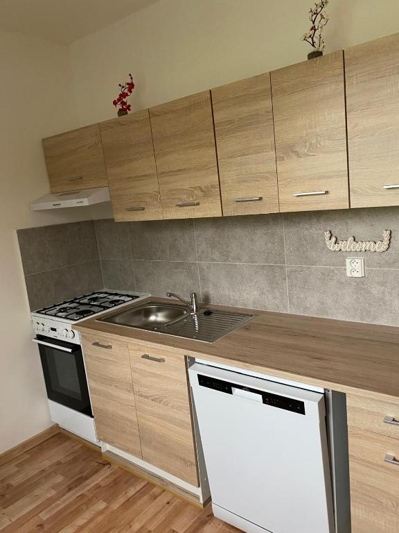 Kuchyň nebo kuchyňský kout v ubytování Apartmán ve městě Ostrov pro 3 osoby