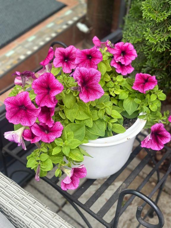 Arena Stadt München - Resim 34