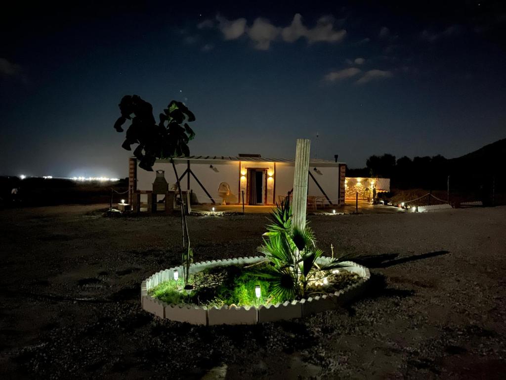a planter in front of a house at night at Casa Rural MaciasDehesa in Merida