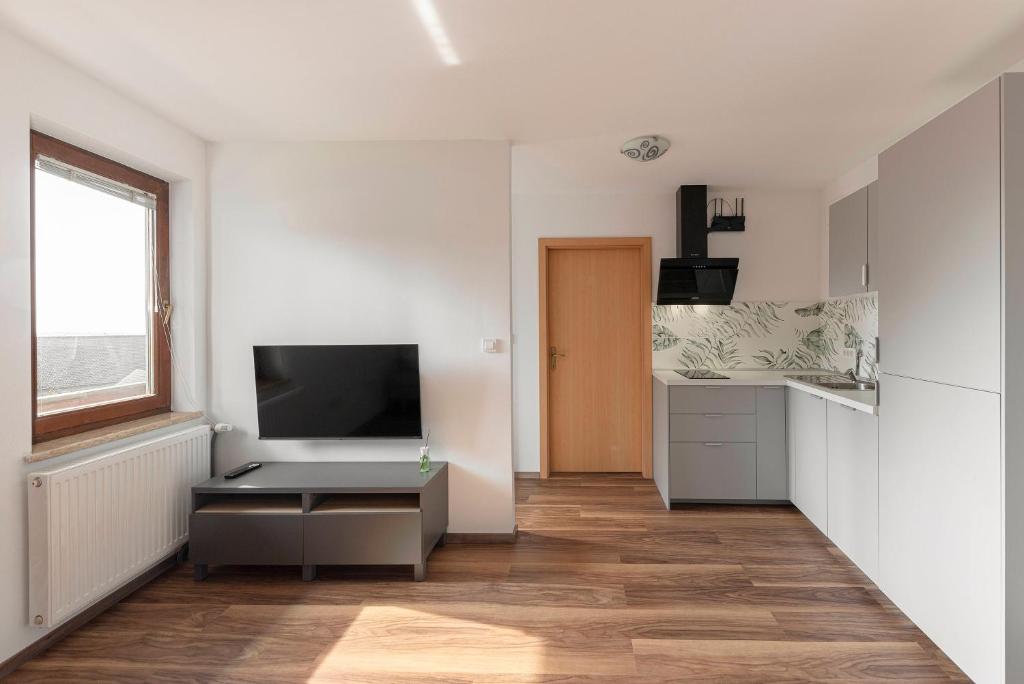 TV a/nebo společenská místnost v ubytování LOGAR Apartments