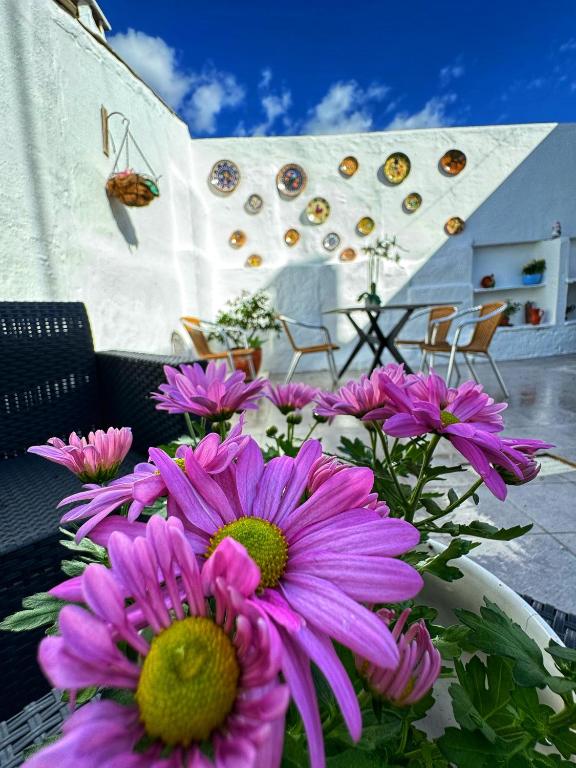 Fotografie z fotogalerie ubytování Casa Solua v destinaci Reguengos de Monsaraz