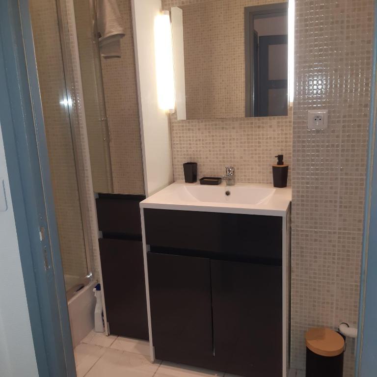 une salle de bain avec un lavabo et un miroir dans l'établissement Nantes Erdre, Île de Versailles, à Nantes