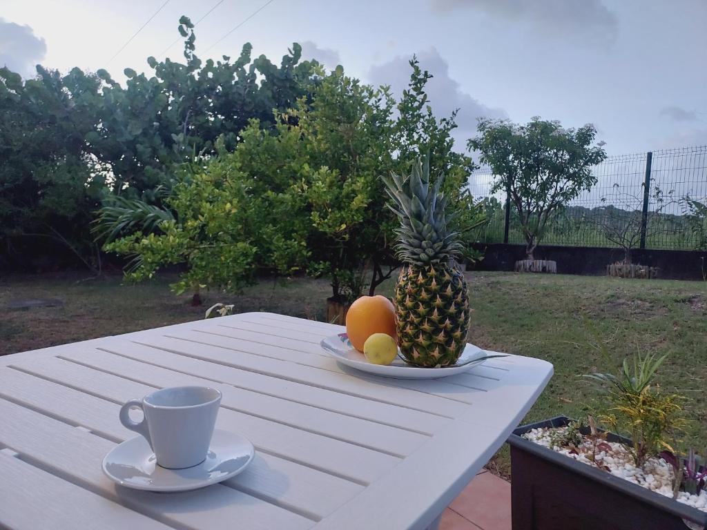 Fotografie z fotogalerie ubytování SOLEY KARAIB Appartement au Vauclin Martinique v destinaci Le Vauclin
