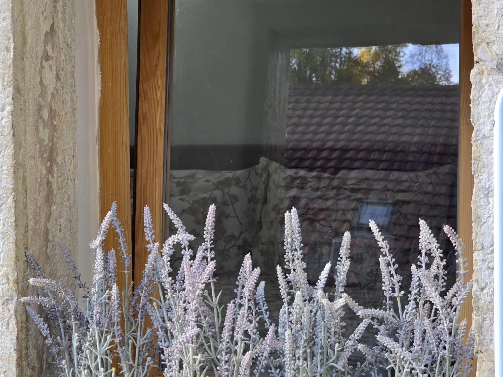 Fotografie z fotogalerie ubytování Babylone v destinaci Orvin