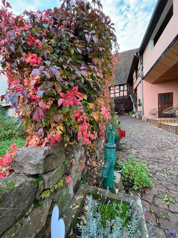 Zahrada ubytování Gîte Origin Gueberschwihr