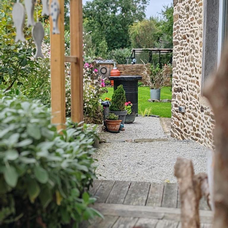 un jardin avec des plantes en pot et un sentier dans l'établissement Le gîte du courtil, à Tressé