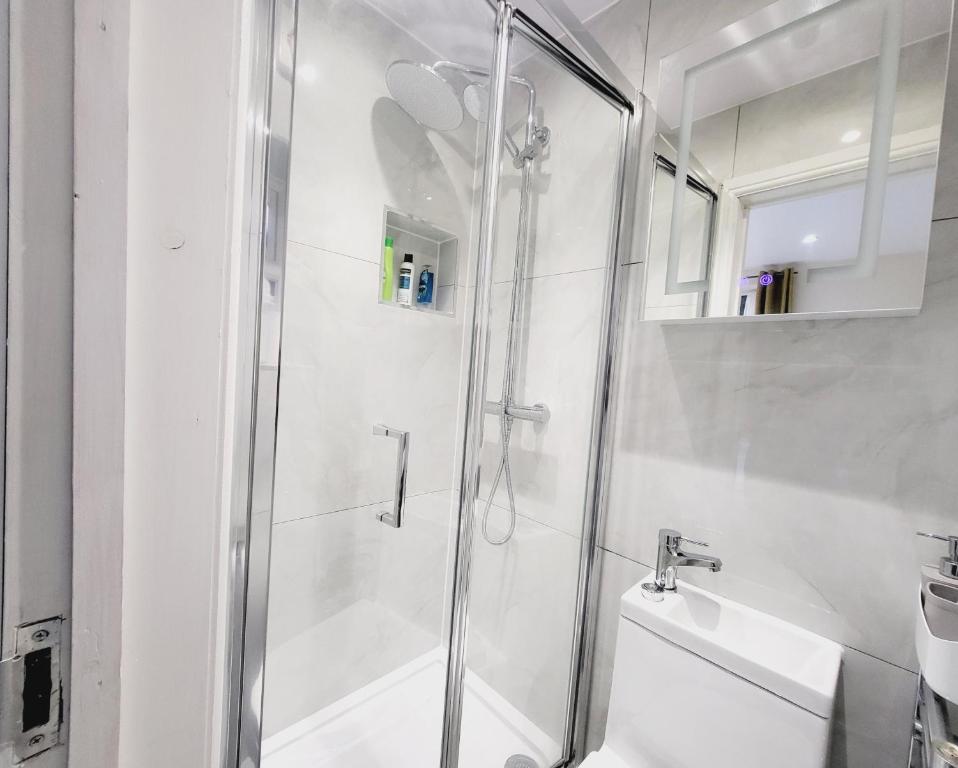 a bathroom with a shower and a toilet and a sink at Nest & Rest En-Suite in Ashford