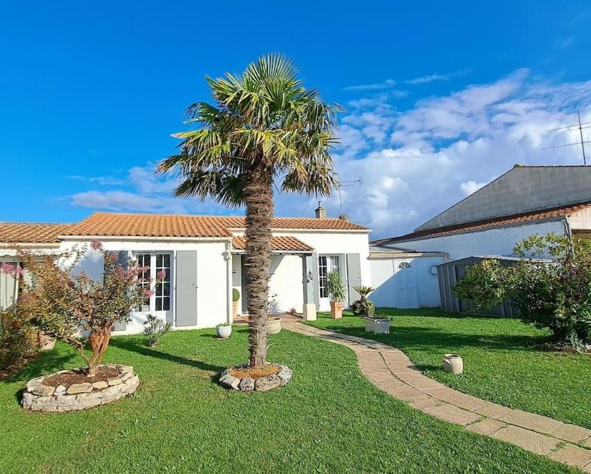 a palm tree in the yard of a house at Charmante et accueillante maison in Saint-Pierre-dʼOléron