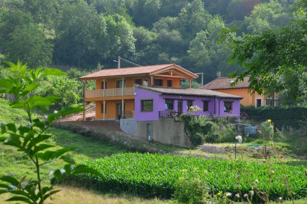 une maison avec une maison violette dans un champ dans l'établissement PicuAstur, à Cangas de Onís