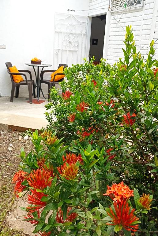 Zahrada ubytování Hostal CORALES