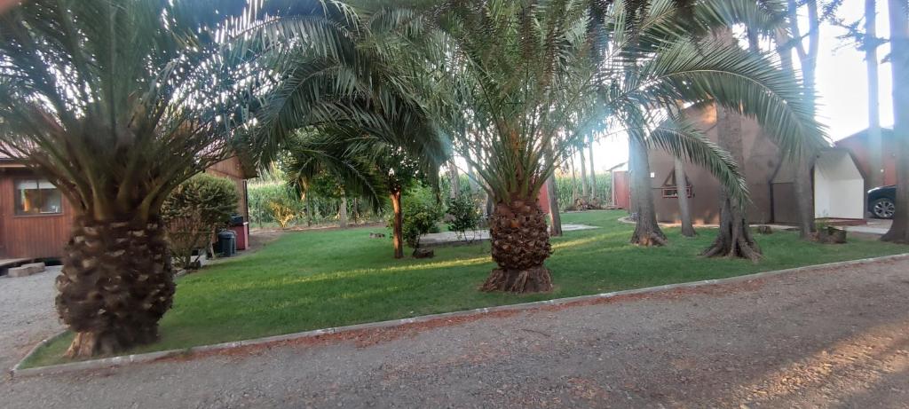 Domo Las araucarias - Housity