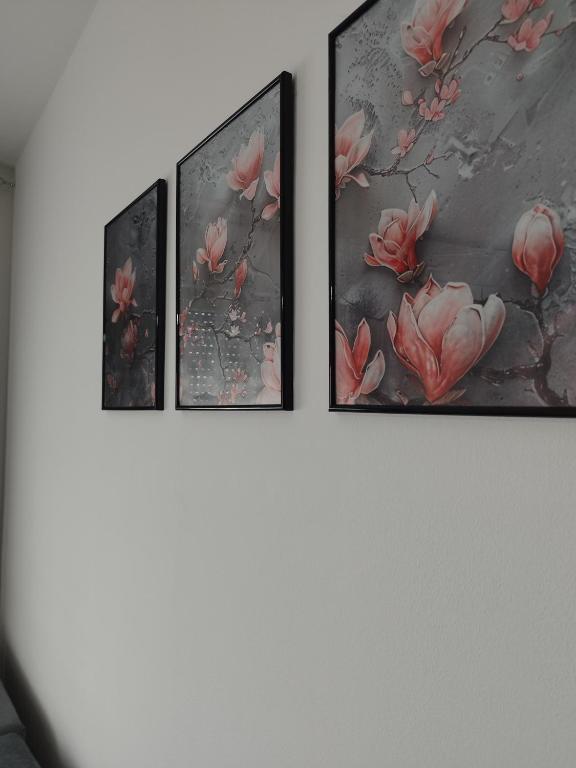 Fotografie z fotogalerie ubytování Studio29 2 v destinaci Ruma