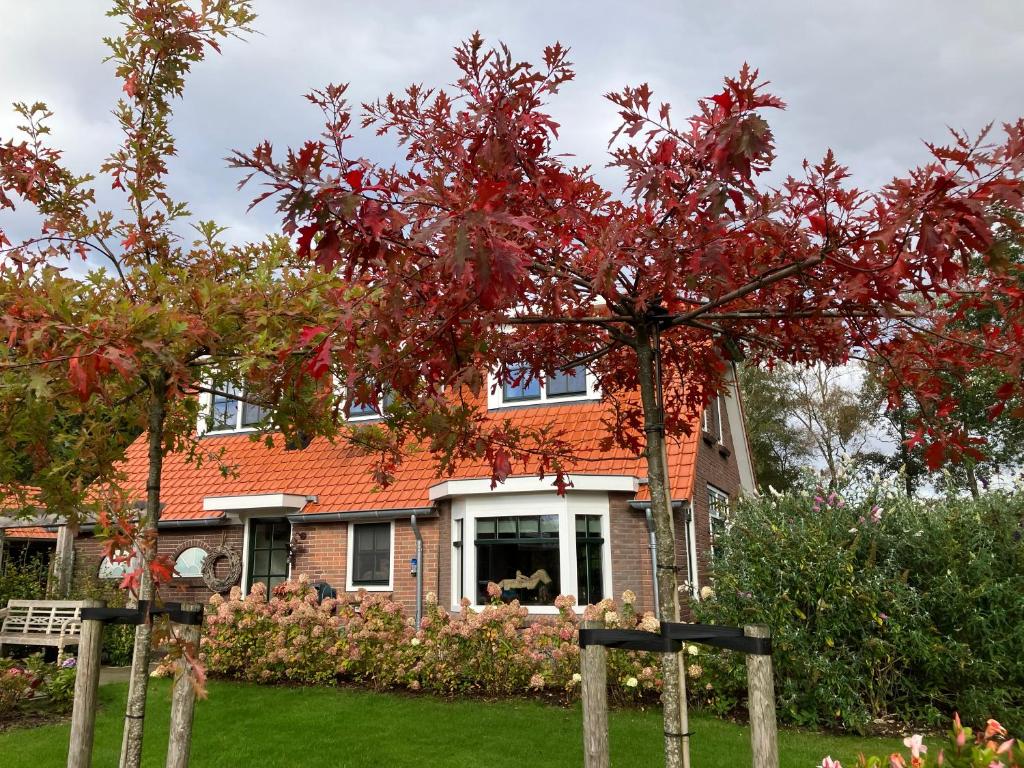 Zahrada ubytování Bed & Breakfast Hoeve Happiness - ontbijt inbegrepen - wellness aanwezig